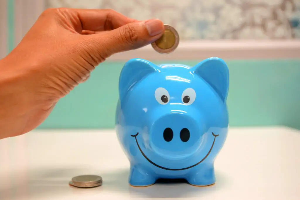 photo of blue piggybank for savings