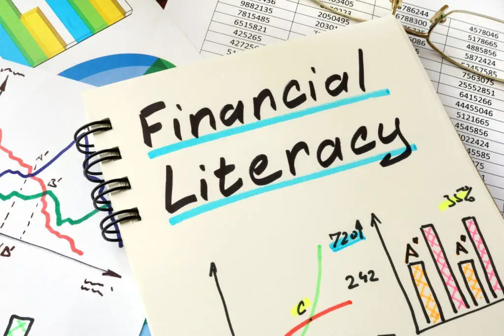 Financial literacy notebook graphs