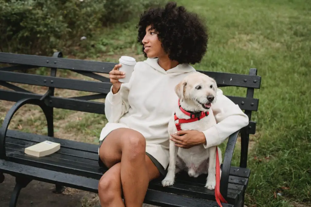 relaxed-black-woman-drinking-coffee-near-dog
